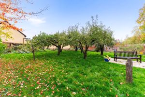 Photo 26- click for photo gallery